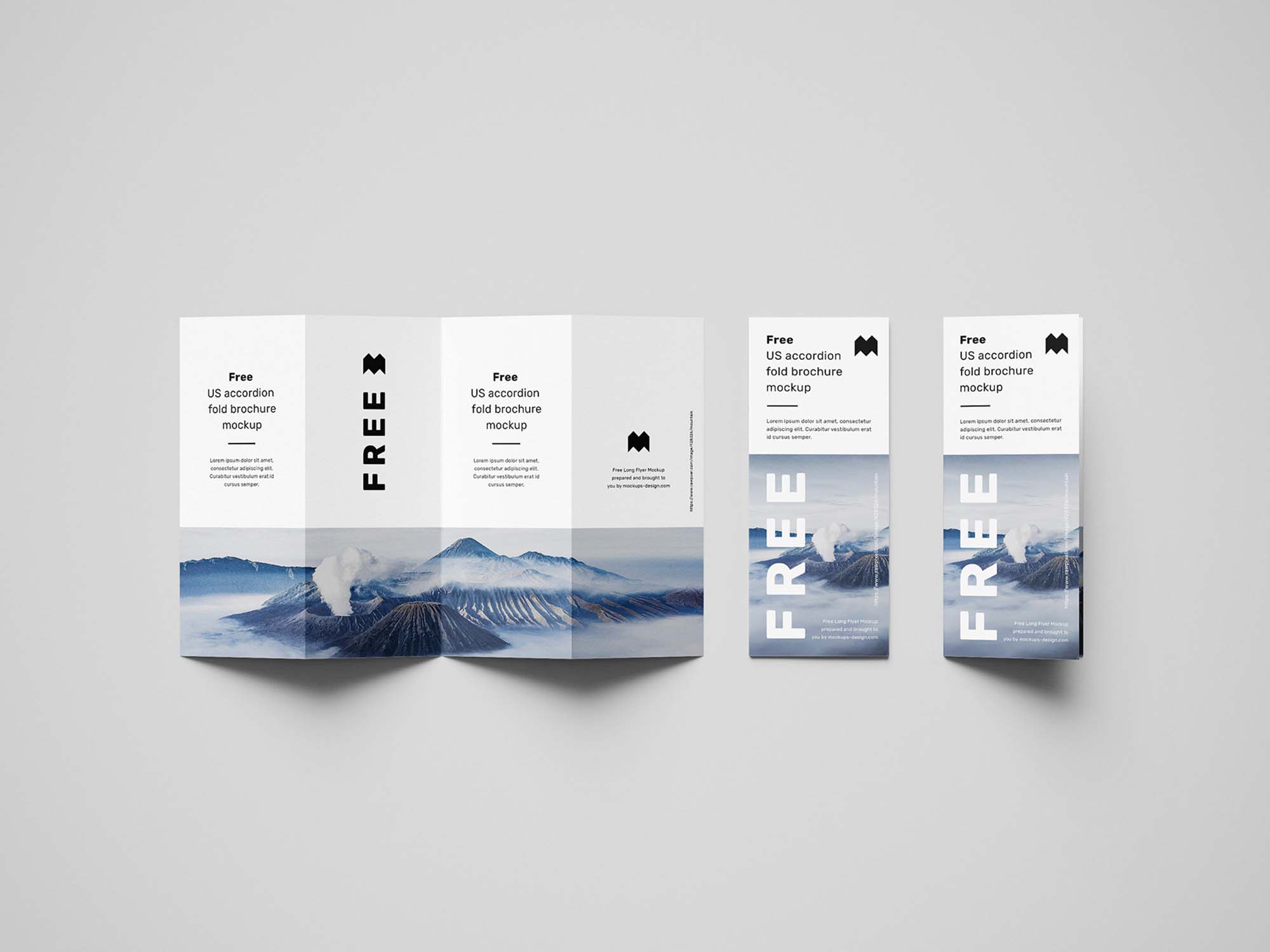 Accordion Brochure Mockup 4